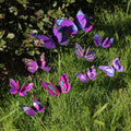 10pcs Large Butterfly Garden Yard Planter Colorful Waterproof 3D